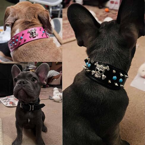 Spiked Dog Collar -Adjustable PU Leather Pet Collar for Small Medium Large Dogs Gift for Boys Girls Dog Pink-M in Saudi Arabia