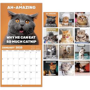 تقويم 2025 - تقويم حائط 2025، يناير 2025 - ديسمبر 2025، 12 بوصة × 24 بوصة (مفتوح)، هدية تقويم حائط 12 شهرًا، تقويم حائط 2025 مع كتل غير مسطرة، فتحة تعليق - قطة زرقاء in Kuwait