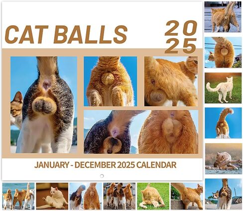 تقويم 2025 - تقويم حائط 2025، يناير 2025 - ديسمبر 2025، 12 بوصة × 24 بوصة (مفتوح)، هدية تقويم حائط 12 شهرًا، تقويم حائط 2025 مع كتل غير مسطرة، فتحة تعليق - قطة زرقاء in Kuwait