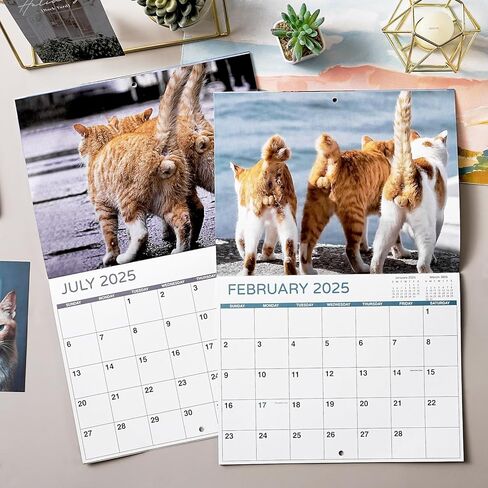 تقويم 2025 - تقويم حائط 2025، يناير 2025 - ديسمبر 2025، 12 بوصة × 24 بوصة (مفتوح)، هدية تقويم حائط 12 شهرًا، تقويم حائط 2025 مع كتل غير مسطرة، فتحة تعليق - قطة زرقاء in Kuwait