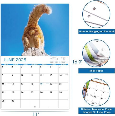 تقويم 2025 - تقويم حائط 2025، يناير 2025 - ديسمبر 2025، 12 بوصة × 24 بوصة (مفتوح)، هدية تقويم حائط 12 شهرًا، تقويم حائط 2025 مع كتل غير مسطرة، فتحة تعليق - قطة زرقاء in Kuwait