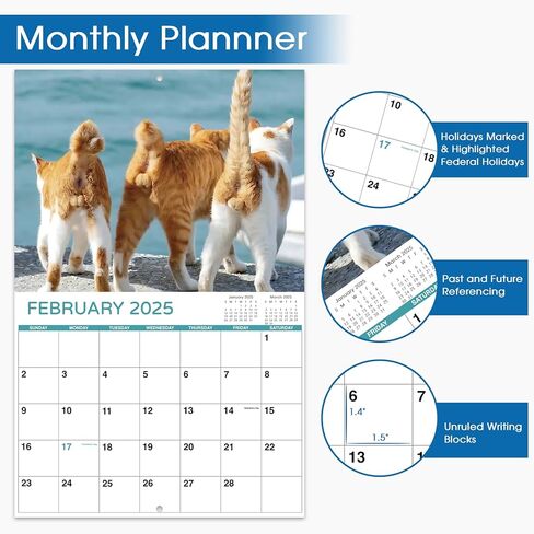 تقويم 2025 - تقويم حائط 2025، يناير 2025 - ديسمبر 2025، 12 بوصة × 24 بوصة (مفتوح)، هدية تقويم حائط 12 شهرًا، تقويم حائط 2025 مع كتل غير مسطرة، فتحة تعليق - قطة زرقاء in Kuwait