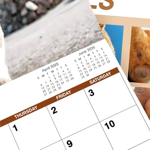 تقويم 2025 - تقويم حائط 2025، يناير 2025 - ديسمبر 2025، 12 بوصة × 24 بوصة (مفتوح)، هدية تقويم حائط 12 شهرًا، تقويم حائط 2025 مع كتل غير مسطرة، فتحة تعليق - قطة زرقاء in Kuwait