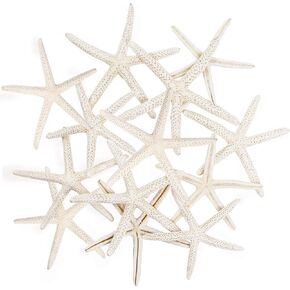20 PCS Christmas Starfish Ornaments 3-4'' Natural Starfish Ornaments, with Rope for Christmas Tree Hanging Ornaments Beach Theme Wedding Home Starfish Decor & DIY Crafts