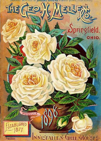Wall Art 1898 Mellen Rose Vintage Flowers Seed Packet Catalogue Advertisement Metal Tin Sign House Decor Gift 8X12 Inch in Saudi Arabia