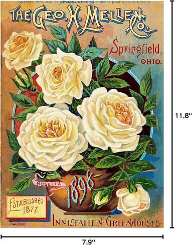Wall Art 1898 Mellen Rose Vintage Flowers Seed Packet Catalogue Advertisement Metal Tin Sign House Decor Gift 8X12 Inch in Saudi Arabia