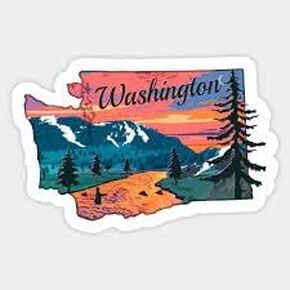 STICKY DUDE | Washington USA State Solid Sticker Vinyl Waterproof 5" | Yeti Cup Cooler Box Decal Car Laptop Wall Window Bumper