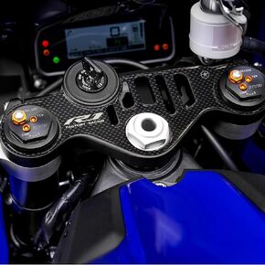 labelbike - 3D Gel Resin Sticker for Decoration and Protection of Motorcycle Steering Plate Compatible with Yamaha YZF R1 from 2015