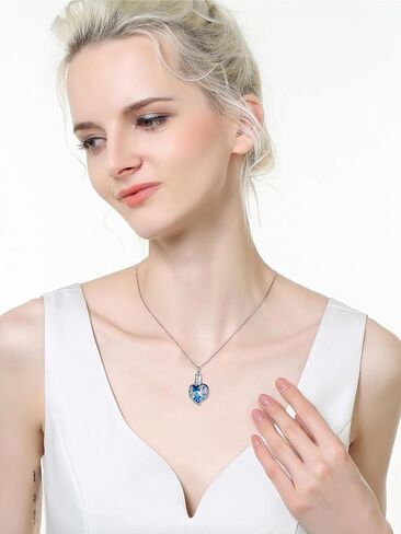 WINNICACA Cremation Jewelry Moon and Stars/Dolphin/Hummingbird Urn Necklace Sterling Silver Heart Crystal Pendant for Ashes Keepsake Memorial Cremation Jewelry Gift for Woman Men in Saudi Arabia