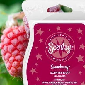Scentsy Bar (Snowberry)