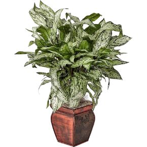 Nearly Natural Silver Queen with Decorative Planter Silk Plant