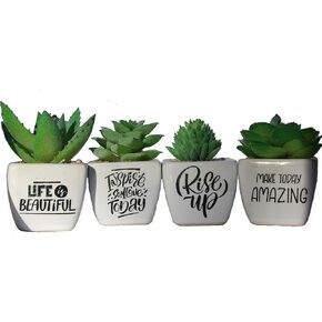 Motivational & Inspirational Mini Realistic Artificial Succulent Plants in White Ceramic pots- Set of 4