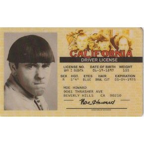 Three Stooges - Moe Howard Driver License Novelty Id Card by Signs 4 Fun