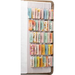 DiverseBee Spanish Bible Tabs (Large Print, Easy to Read), Bible Journaling Book Tabs, Christian Gift, 66 Bible Tabs Old and New Testament, Includes Catholic Books and 9 Blank Tabs (Paz)