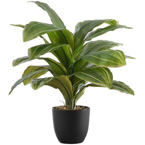 Monarch Specialties I 9573 Artificial Plant, 17" Tall, Dracaena, Indoor, Faux, Fake, Table, Greenery, Potted, Real Touch, Decorative, Green Leaves, Black Pot