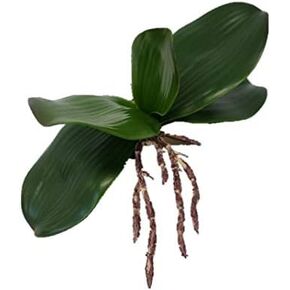 Sweet Home Deco Gel Coated Phanaenopsis Orchid Artificial Greenery Leaf with Realistic Roots Set of 2 (1, 10''L)