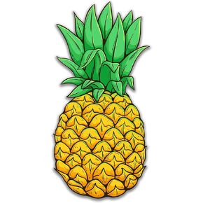 Pineapple Stickers | Easy Peel and Stick Vinyl | Pineapples Decals for Car Truck Tumblers Laptop (5" x 2.5")