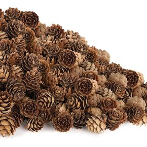100 Pack Pine Cones, Mini Natural Pine Cones for Christmas Tree, 1.18 in Pine Cones for Crafts, Mini Pinecone Ornaments, Christmas Wreath Craft, Winter Decorations for Home Fall Decor Vase Filler
