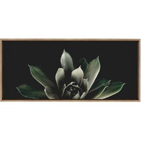 لوحة فنية جدارية من القماش مؤطرة من Kate and Laurel Sylvie Sylvie من تصميم Emiko وMark Franzen من F2Images، مقاس 18x40 ذهبي، فن نباتي زخرفي للجدار in Kuwait