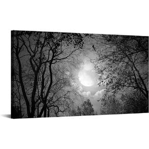 Visual Art Decor Black and White Full Moon Picture Wall Decor Nature Forest Landscape Wall Art Night Scenery Art Print Framed Ready to Hang, 20inchx36inch