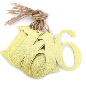 16th Birthday Party Decorations - Sweet 16th Themed Party Supplies, Home Vase Decorations, Vintage Glitter Age Number Hangtags, 16th Birthday Gifts for Girls, Birthday Sixteen Girls Bunting Jar Favor