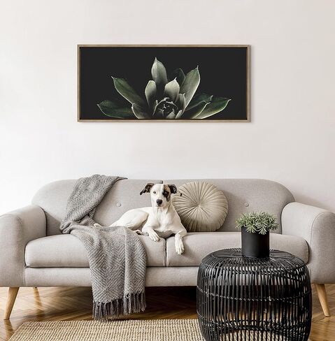 لوحة فنية جدارية من القماش مؤطرة من Kate and Laurel Sylvie Sylvie من تصميم Emiko وMark Franzen من F2Images، مقاس 18x40 ذهبي، فن نباتي زخرفي للجدار in Kuwait