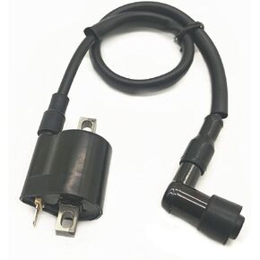 Ignition Coil for Suzuki ATV ALT125 LT125 LT160E LT185 LT250R LT-F160 LT-F160T 33410-24510/33410-09410/33410-09411/33410-24310/33410-41B00/33410-43B00/33410-02C00