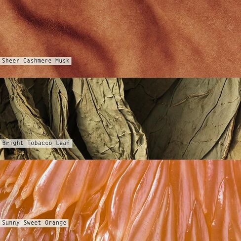 ناشر روائح عطرية من ILLUME بشكل جميل من شركة Hinoki Sage in Kuwait