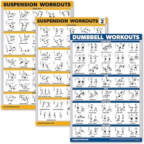 Palace Learning 3 Pack - Suspension Workout Posters - Volume 1 & 2 + Dumbbell Exercises Poster Set - Set of 3 Workout Charts
