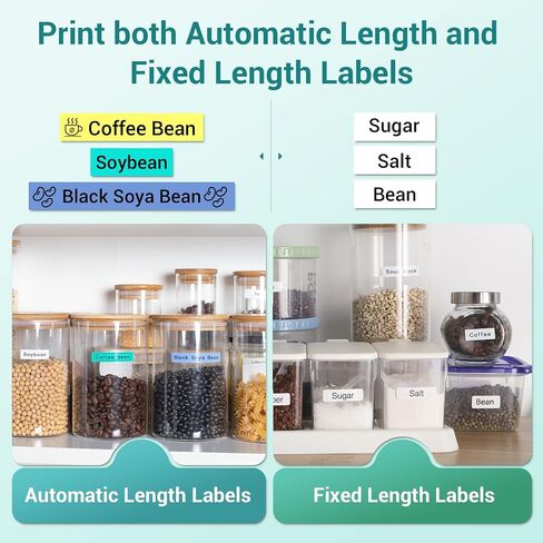 Labelife Label Maker Machine with 4 Tapes, Portable Label Maker D210S, QWERTY Keyboard, One-Touch Keys, Easy-to-Use, Handheld Label Maker with Tapes and AC Adapter, for Home Office Organization, Green in Saudi Arabia