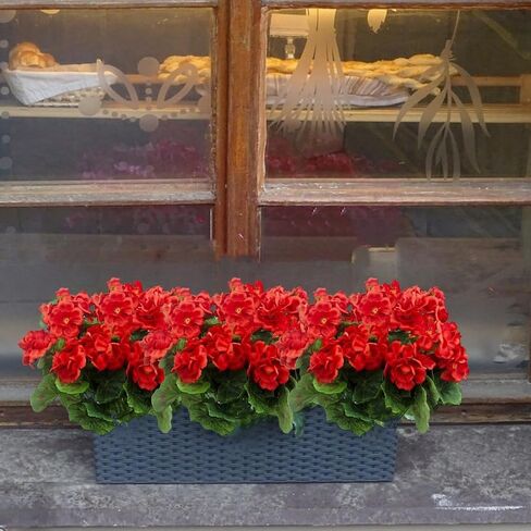 2 Pack Artificial Fake Flowers Plants Silk Flower with Potted, Faux Geranium Silk Flowers in Pot Faux Flowers for Outdoors Garden Home Decor Indoors Kitchen Wedding Party Centerpieces, Red in Saudi Arabia