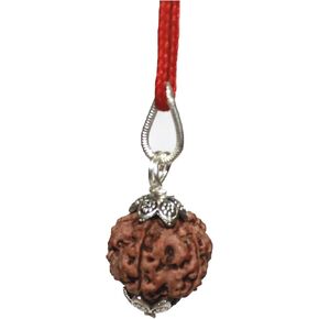 IS4A 5 Face Rudraksha Pendant/ 5 Mukhi Rudraksha Pendant |Certified|