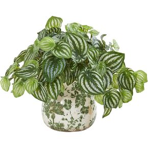 Nearly Natural Watermelon Peperomia Artificial Plant in Vase (Real Touch)