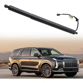 Rear tailgate Power Lift Support Liftgate, Trunk Lift Shock Strut Compatible With Hyundai Vehicle Palisade 2020-2024 Replace# 81841-S8100 (Right)
