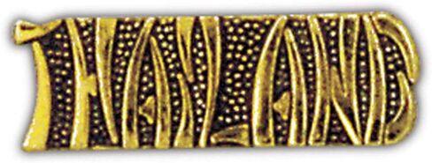 United States Military Vietnam War Thailand 1" Lapel Pin in Saudi Arabia