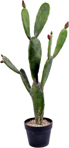 فيكرمان كل يوم صبار أخضر صناعي مقاس 34 بوصة في وعاء مزارعي بلاستيكي أسود - نبات صناعي محفوظ بوعاء داخلي - مساحات خضراء لديكور المنزل أو المكتب - صيانة مجانية in Kuwait