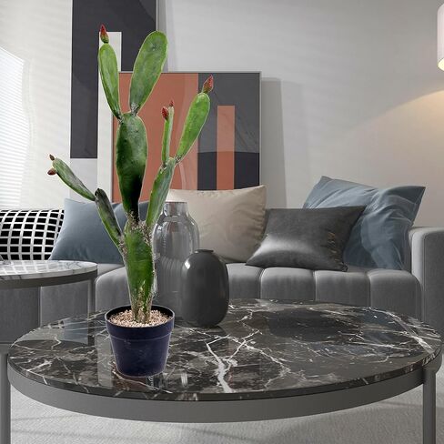 فيكرمان كل يوم صبار أخضر صناعي مقاس 34 بوصة في وعاء مزارعي بلاستيكي أسود - نبات صناعي محفوظ بوعاء داخلي - مساحات خضراء لديكور المنزل أو المكتب - صيانة مجانية in Kuwait