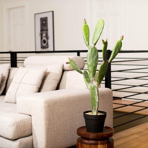 فيكرمان كل يوم صبار أخضر صناعي مقاس 34 بوصة في وعاء مزارعي بلاستيكي أسود - نبات صناعي محفوظ بوعاء داخلي - مساحات خضراء لديكور المنزل أو المكتب - صيانة مجانية in Kuwait