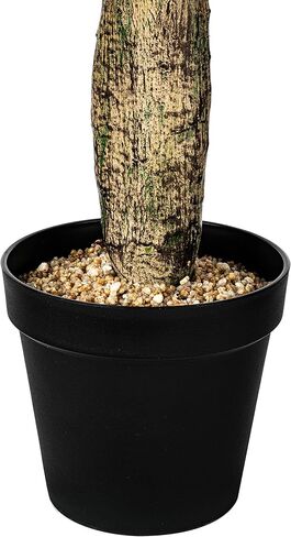 فيكرمان كل يوم صبار أخضر صناعي مقاس 34 بوصة في وعاء مزارعي بلاستيكي أسود - نبات صناعي محفوظ بوعاء داخلي - مساحات خضراء لديكور المنزل أو المكتب - صيانة مجانية in Kuwait