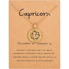 Golden Necklace for Women 12 Constellation Necklaces Astrology Aquarius Golden Jewelry for Women Valentine's Day Gifts Fashion Birthday Gifts Dainty Personalized Jewelry