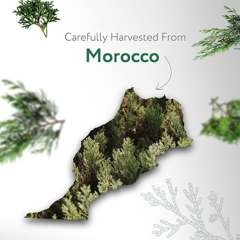 HBNO Blue Tansy Essential Oil - 1/3 OZ (10 ml) Travel Size - Perfect for Aromatherapy, DIY, Candle Making, Soap Making, Diffusers - Blue Tansy Essential Oils in Kuwait