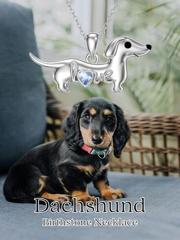 Seiyang Dachshund Dog Necklace for Women 925 Sterling Silver Dachshund Charm Jewelry Dog Pendant Lover Gifts for Women Chirstmas Gifts in Saudi Arabia