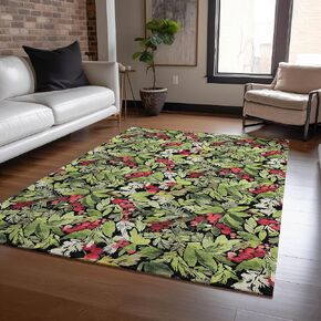 Addison Rugs Chantille ACN1816 Black 2'6" x 3'10" Indoor/Outdoor, Machine Washable, Holiday, Christmas Rug, Easy Clean, Non Shedding, Living Room, Entryway, Kitchen, Patio Rug