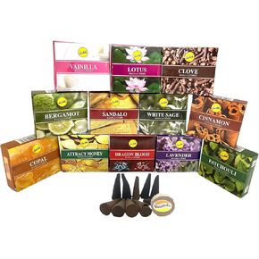 Sreevani Natural Masala Incense Cones and Holder Bundle, 120 Cones Total, Assorted #1