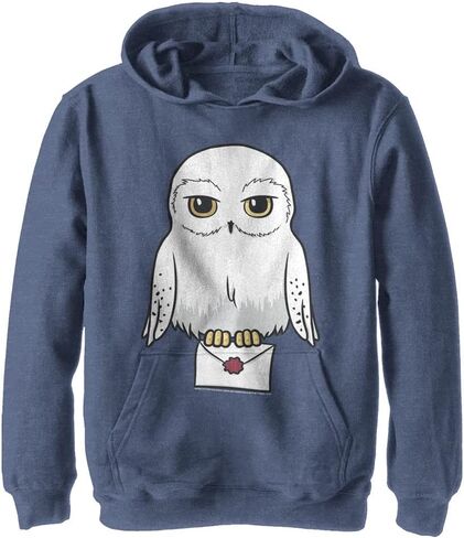 Harry Potter Kids Deathly Hallows Anime Hedwig Mail Youth Pullover Hoodie in Kuwait