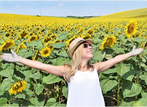 Maxdot Fingerless Gloves Non Slip UV Protection Driving Gloves Summer Outdoor Gloves for Women in Kuwait