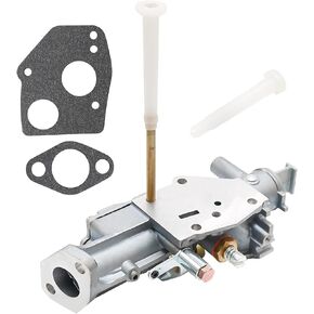 Carburetor with Gaskets Replacement for B S 130202 112202 112232 134202 135200 130200 100200 4 Cycle Engine