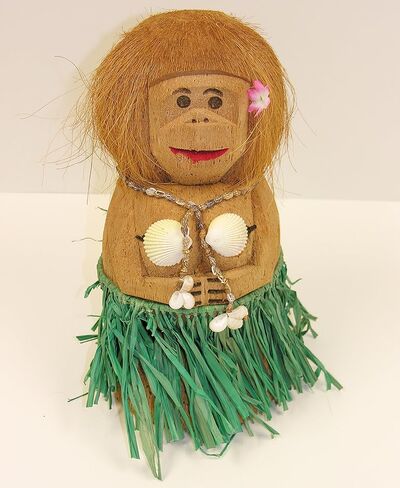 فورم نوفلتيز 61916 امرأة قرد جوز الهند مع هدية صدفة in Kuwait