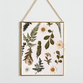 Black Hanging Picture Frame,10.8x14 Double Glass Frame for Pressed Flowers, Clear DIY Vintage Artwork Display Frame with Chain, Floating Frame Style Gallery Wall Mounted Photos Frame
