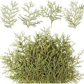 HyDren 100 Pcs Preserved Real Pine Branches Leaves Christmas Greenery Pine Picks Natural Dried Greenery Plants Pine Twigs Christmas Wreath Decorations for Xmas Wedding Home Decor Indoor Outdoor